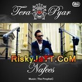 Tera Pyar Nafees, The Prophe C mp3 song download, Tera Pyar Nafees, The Prophe C full album