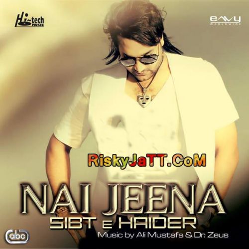 Jaan E Mann Sibt E Haider mp3 song download, Nai Jeena Sibt E Haider full album