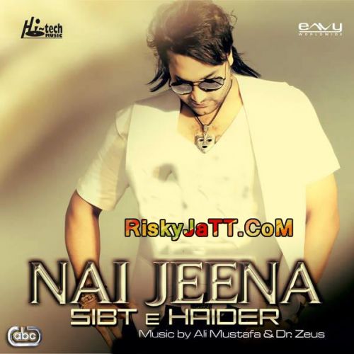 Raataan Sibt E Haider mp3 song download, Nai Jeena Sibt E Haider full album