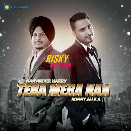 Tera Mera Naa Harvinder Harry mp3 song download, Tera Mera Naa Harvinder Harry full album