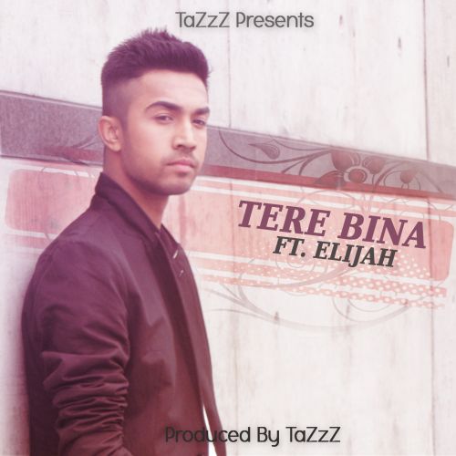 Tere Bina Ft Elijah Tazzz mp3 song download, Tere Bina Tazzz full album