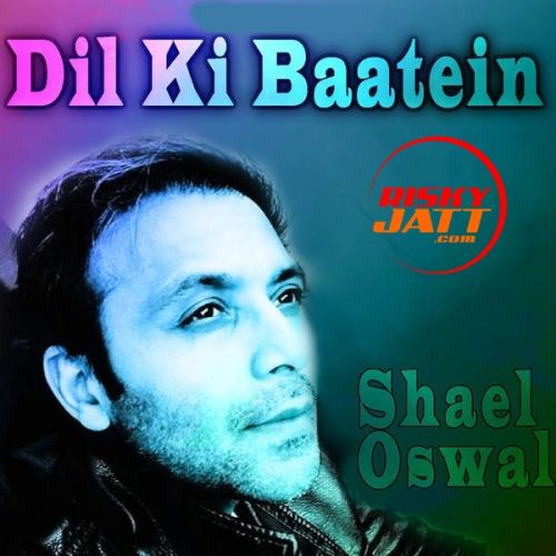 Dil Ki Baatein Shael Oswal mp3 song download, Dil Ki Baatein Shael Oswal full album