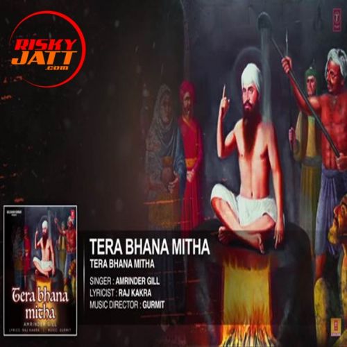 Tera Bhana Mitha Amrinder Gill mp3 song download, Tera Bhana Mitha Amrinder Gill full album