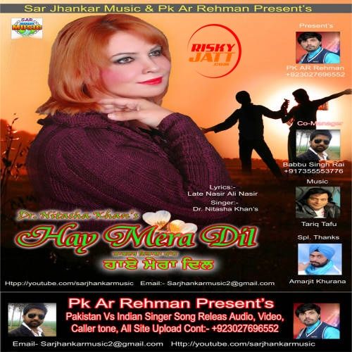 Hay Mera Dil Dr. Nitasha Khan mp3 song download, Hay Mera Dil Dr. Nitasha Khan full album
