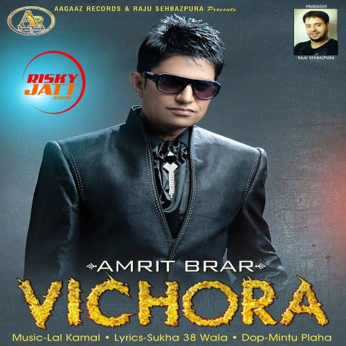 Vichora Amrit Brar mp3 song download, Vichora Amrit Brar full album