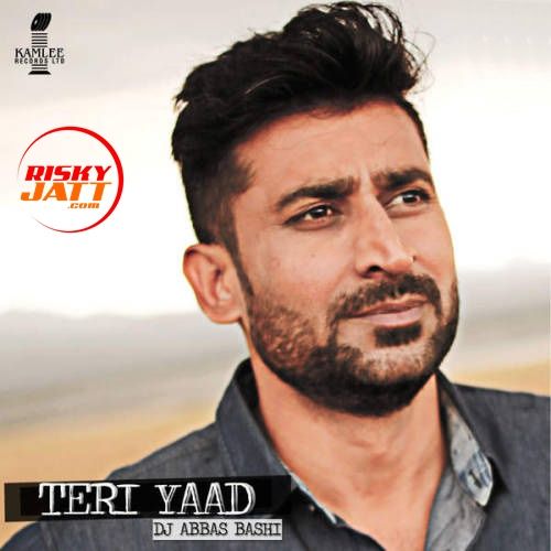 Teri Yaad Dj Abbas Bashi mp3 song download, Teri Yaad Dj Abbas Bashi full album