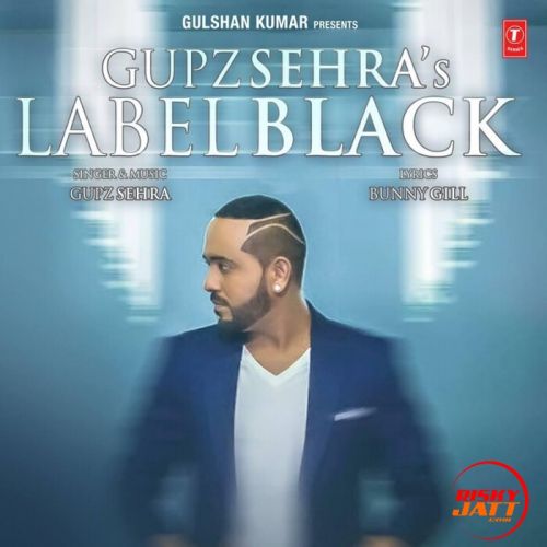 Label Black Gupz Sehra mp3 song download, Label Black Gupz Sehra full album