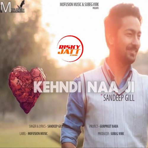 Kehndi Naa Ji Sandeep Gill mp3 song download, Kehndi Naa Ji Sandeep Gill full album