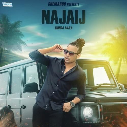 Najaij Bhinda Aujla mp3 song download, Najaij Bhinda Aujla full album