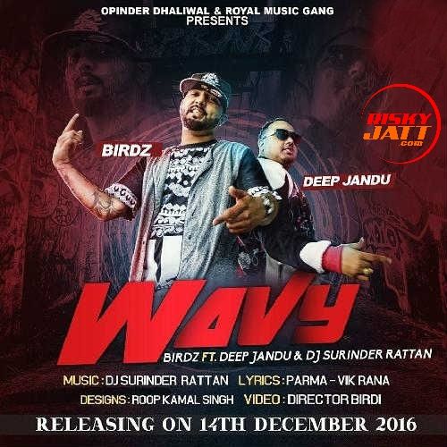 Wavy Birdz, Deep Jandu mp3 song download, Wavy Birdz, Deep Jandu full album