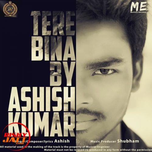Tere Bina Ashish Kumar, Shubham mp3 song download, Tere Bina Ashish Kumar, Shubham full album