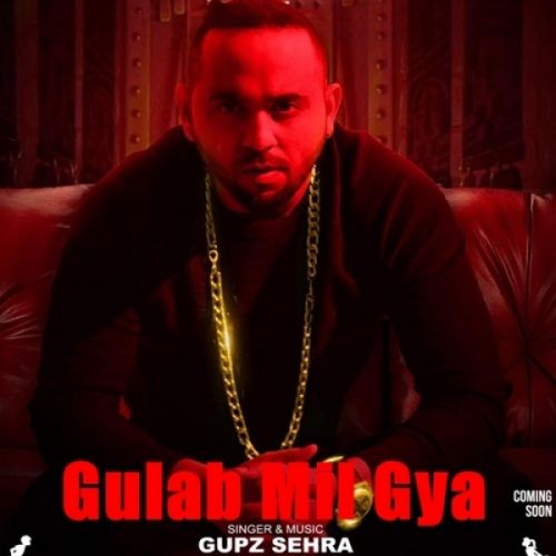 Gulab Mil Gya Gupz Sehra mp3 song download, Gulab Mil Gya Gupz Sehra full album