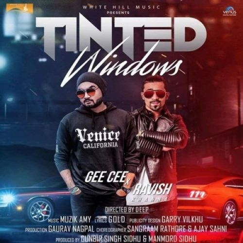 Tinted Windows Gee Cee, Ravish Khanna mp3 song download, Tinted Windows Gee Cee, Ravish Khanna full album