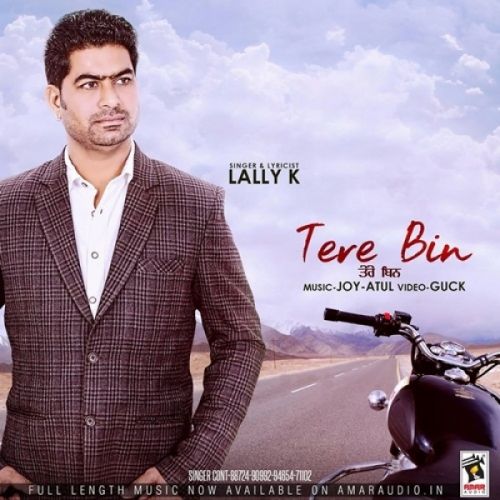 Tere Bin Lally K mp3 song download, Tere Bin Lally K full album