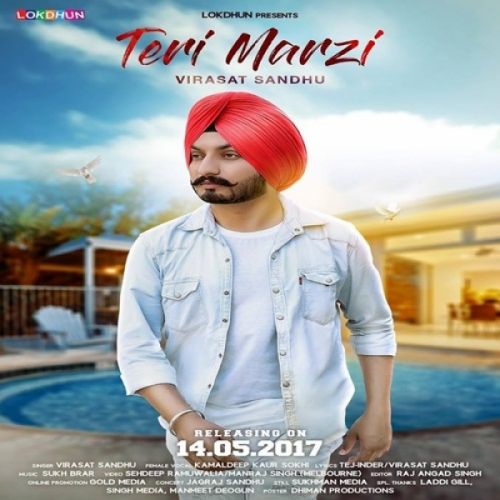 Teri Marzi Virasat Sandhu mp3 song download, Teri Marzi Virasat Sandhu full album