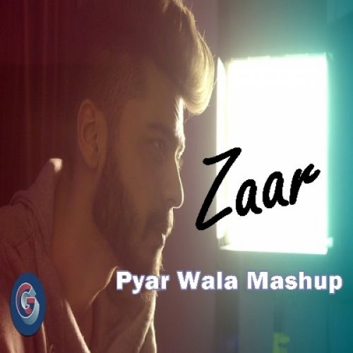 Pyar Wala Mashup Zaar mp3 song download, Pyar Wala Mashup Zaar full album