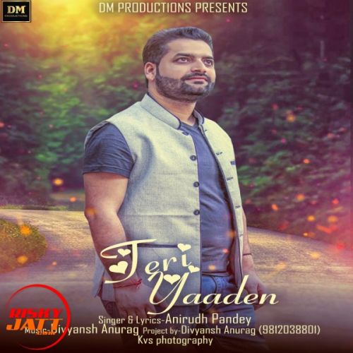 Teri Yadden Anirudh Pandey mp3 song download, Teri Yadden Anirudh Pandey full album