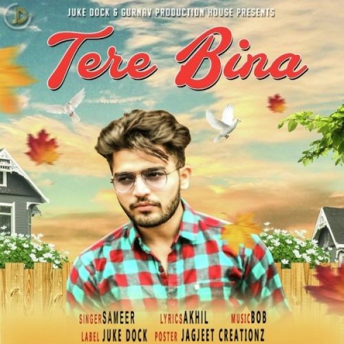 Tere Bina Sameer mp3 song download, Tere Bina Sameer full album