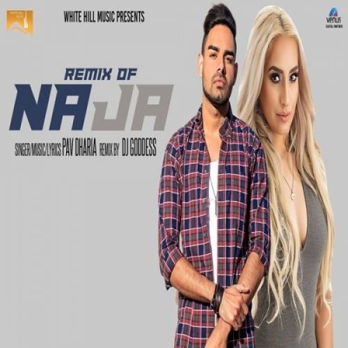 Na Ja (Remix) DJ Goddess, Pav Dharia mp3 song download, Na Ja (Remix) DJ Goddess, Pav Dharia full album