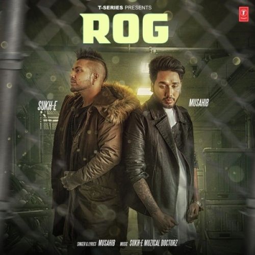 Rog Musahib mp3 song download, Rog Musahib full album