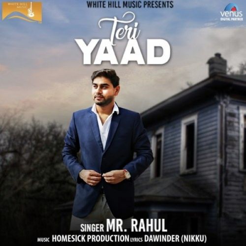 Teri Yaad Mr Rahul mp3 song download, Teri Yaad Mr Rahul full album