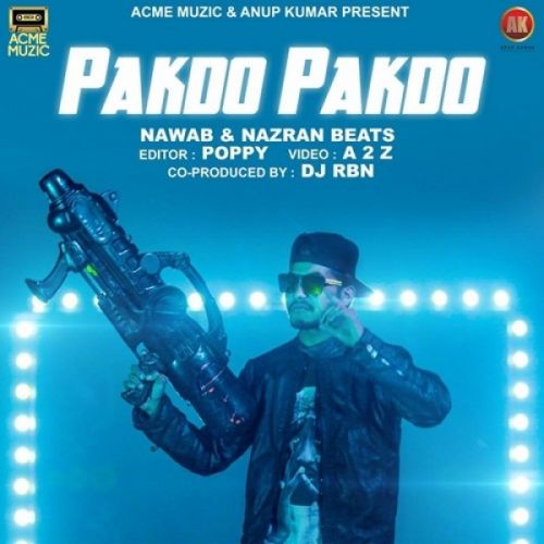 Pakdo Pakdo Nawab, Nazran Beats mp3 song download, Pakdo Pakdo Nawab, Nazran Beats full album
