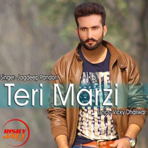 Teri Mazji Jagdeep Pandori mp3 song download, Teri Marzi Jagdeep Pandori full album