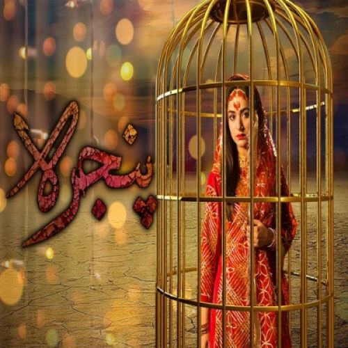 Pinjra Rahat Fateh Ali Khan, Noraan Laal mp3 song download, Pinjra Rahat Fateh Ali Khan, Noraan Laal full album