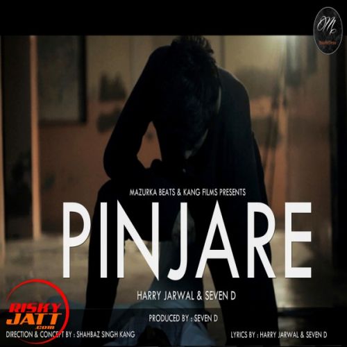 Pinjare Narci, Harry Jarwal, Seven D mp3 song download, Pinjare Narci, Harry Jarwal, Seven D full album