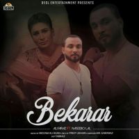 Bekarar Naseebo Lal, Ali Faraz mp3 song download, Bekarar Naseebo Lal, Ali Faraz full album