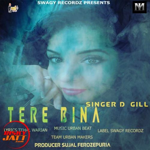 Tere bina D Gill mp3 song download, Tere bina D Gill full album