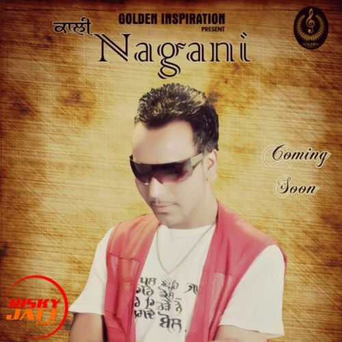 Nagani Sukha Zaildar, Sm Beats mp3 song download, Nagani Sukha Zaildar, Sm Beats full album