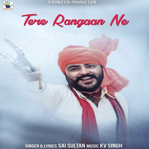 Tere Rangaan Ne Sai Sultan mp3 song download, Tere Rangaan Ne Sai Sultan full album