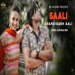 Saali Chandigarh Aali Vinu Gaur mp3 song download, Saali Chandigarh Aali Vinu Gaur full album