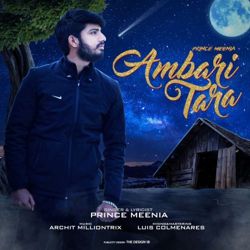 Ambari Tara Prince Meenia mp3 song download, Ambari Tara Prince Meenia full album