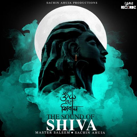 The Sound Of Shiva Master Saleem, Sachin Ahuja mp3 song download, The Sound Of Shiva Master Saleem, Sachin Ahuja full album