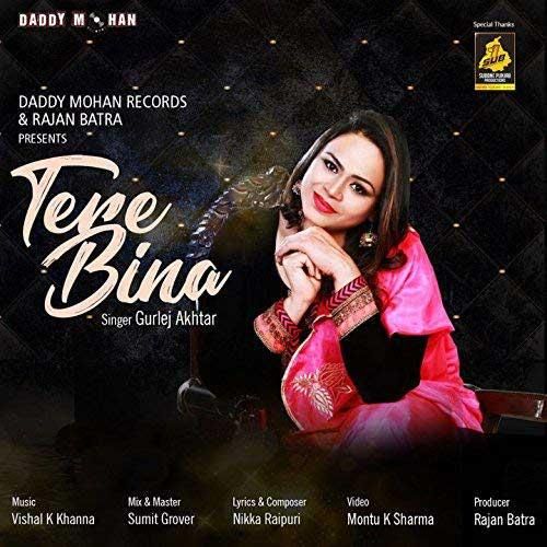 Tere Bina Gurlez Akhtar mp3 song download, Tere Bina Gurlez Akhtar full album