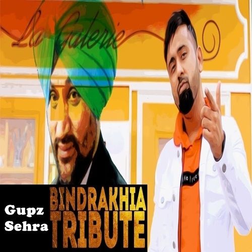 Bindrakhia Tribute Gupz Sehra mp3 song download, Bindrakhia Tribute Gupz Sehra full album