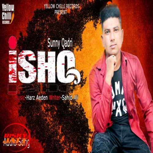 Ishq Sunny Qadri mp3 song download, Ishq Sunny Qadri full album