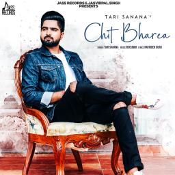 Chit Bharea Tari Sanana mp3 song download, Chit Bharea Tari Sanana full album