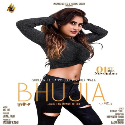 Bhujia Surleen mp3 song download, Bhujia Surleen full album