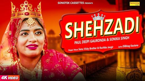 Shehzadi Sonu Vicky Brother, Ruchika Jangid, Sonika Singh mp3 song download, Shehzadi Sonu Vicky Brother, Ruchika Jangid, Sonika Singh full album