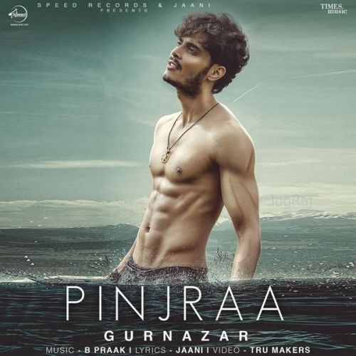 Pinjraa Gurnazar mp3 song download, Pinjraa Gurnazar full album