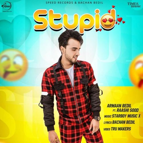 Stupid Armaan Bedil, Raashi Sood mp3 song download, Stupid Armaan Bedil, Raashi Sood full album