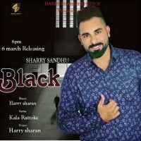Black Sharry Sandhu mp3 song download, Black Sharry Sandhu full album