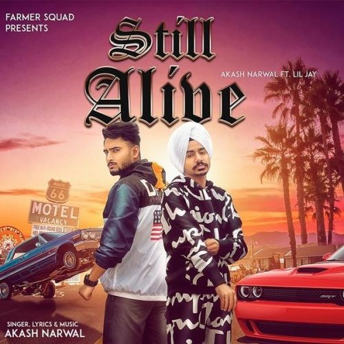 Still Alive Akash Narwal, Lil Jay mp3 song download, Still Alive Akash Narwal, Lil Jay full album