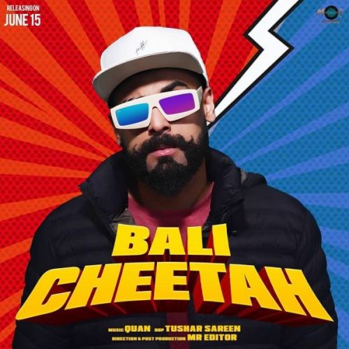 Cheetah Bali mp3 song download, Cheetah Bali full album