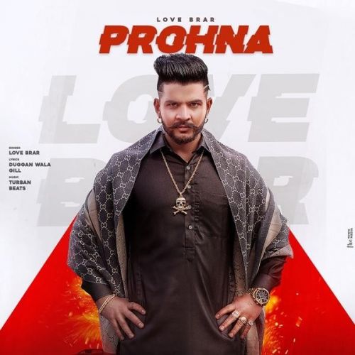 Prohna Love Brar mp3 song download, Prohna Love Brar full album