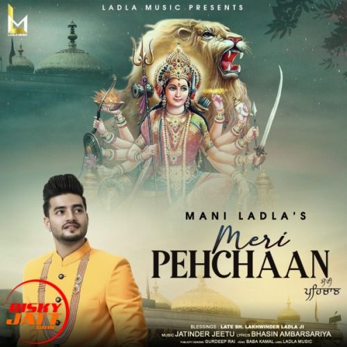 Meri Pehchaan Mani Ladla mp3 song download, Meri Pehchaan Mani Ladla full album