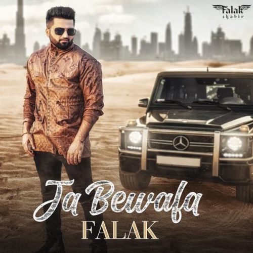 Ja Bewafa Falak mp3 song download, Ja Bewafa Falak full album